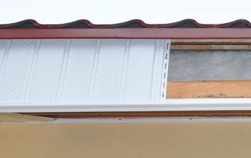 Norleaze fascia repair costs