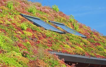 Norleaze living roof systems