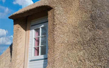 Norleaze thatch roof disadvantages