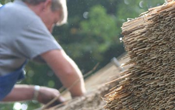 professional Norleaze thatchers