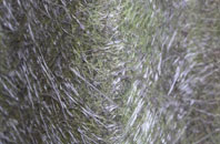 Norleaze fibreglass roof work